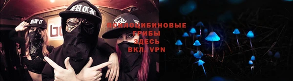 ALPHA-PVP Кодинск
