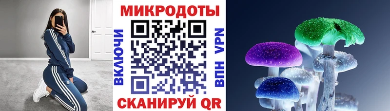 Галлюциногенные грибы мицелий Купить закладки Верхний Тагил